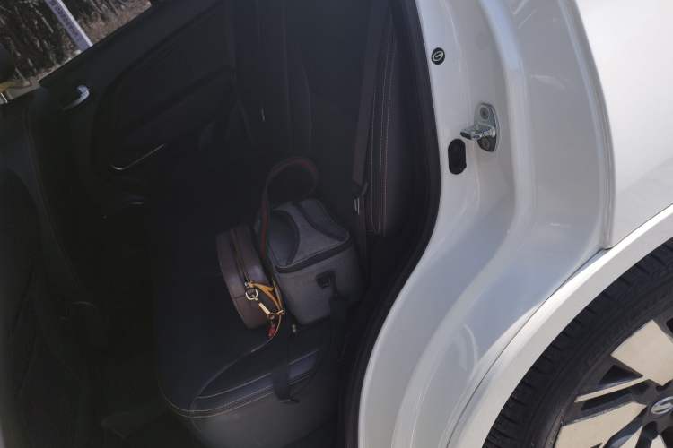 Used AION Trumpchi GE3 2018 530 Internet Enjoyment Version Left Rear Seat
