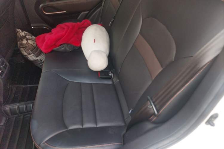 Used AION Trumpchi GE3 2018 530 Internet Enjoyment Version Left Rear Seat