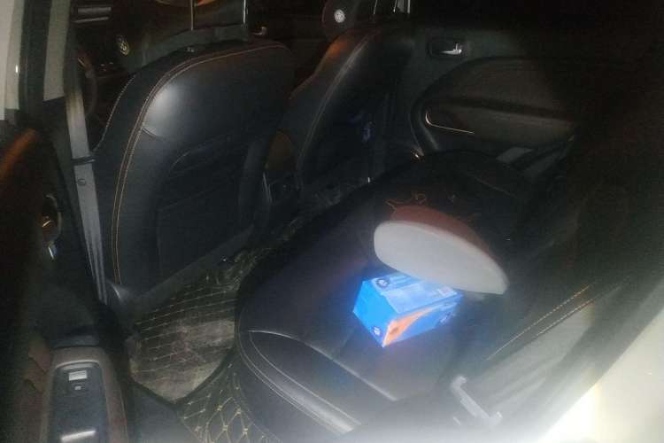 Used AION Trumpchi GE3 2018 530 Internet Enjoyment Version Left Rear Seat