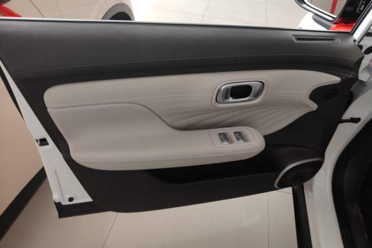 Used AION UT 2025 330 Starlight Edition Left Front Door Interior