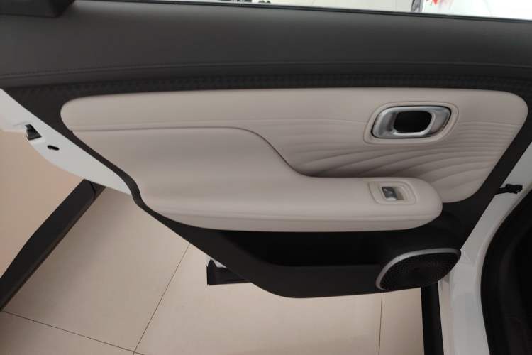 Used AION UT 2025 330 Starlight Edition Left Rear Door Interior