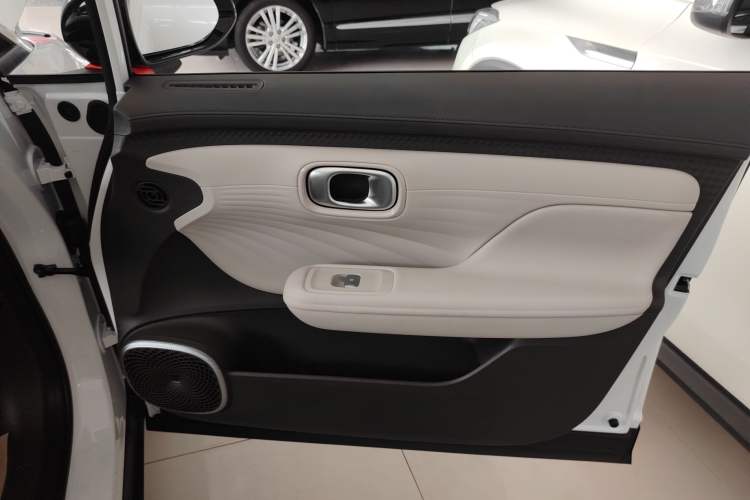 Used AION UT 2025 330 Starlight Edition Right Front Door Interior