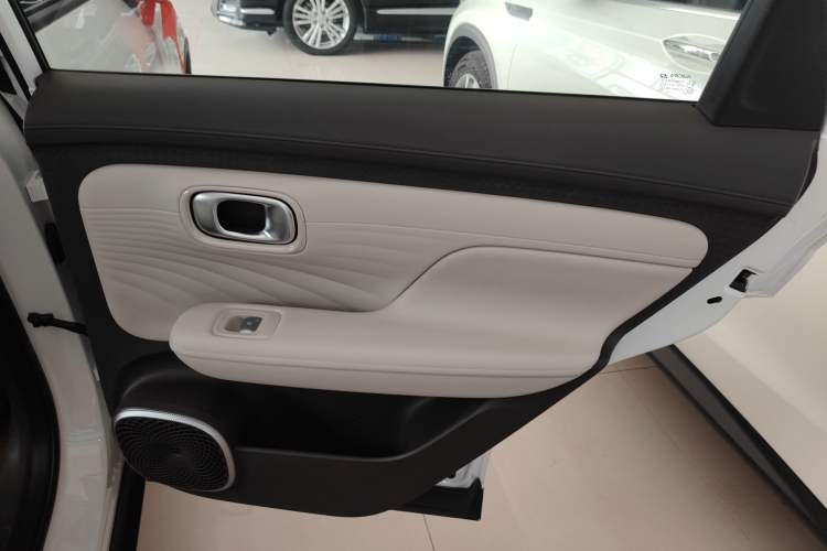 Used AION UT 2025 330 Starlight Edition Right Rear Door Interior