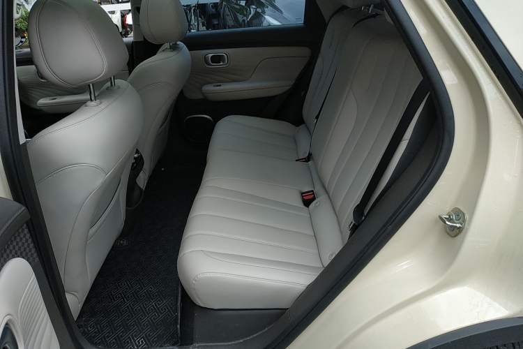 Used AION UT 2025 420 Prestige Edition Left Rear Seat