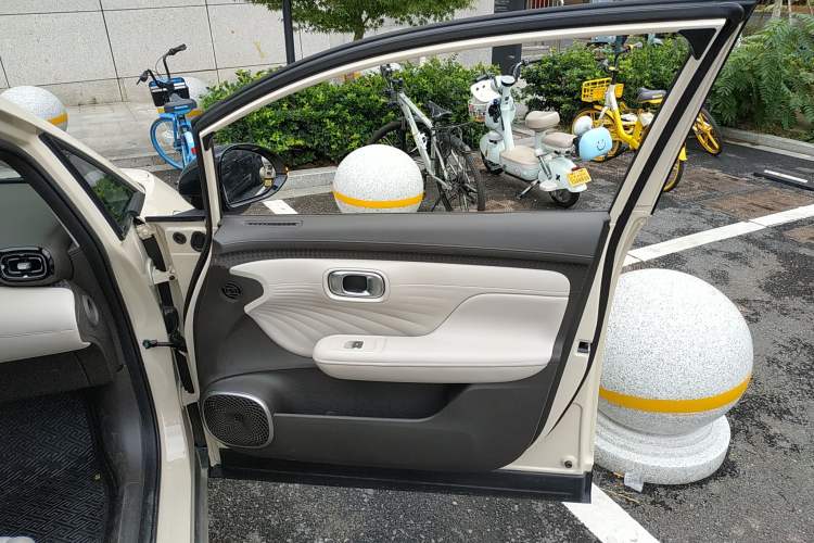 Used AION UT 2025 420 Prestige Edition Right Front Door Interior