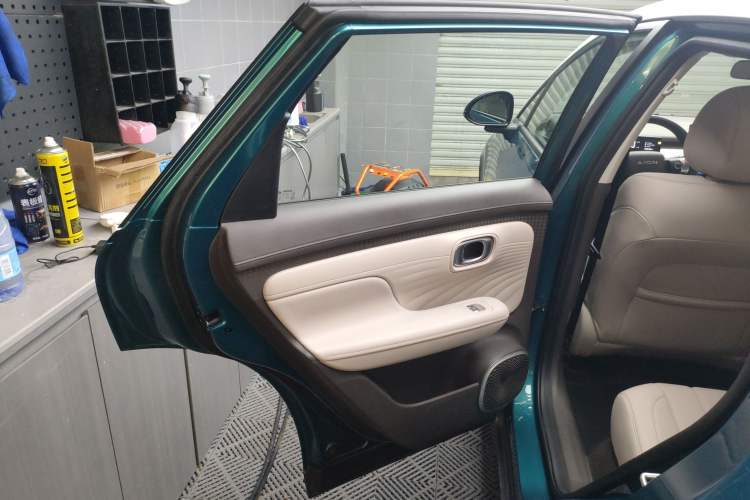Used AION UT 2025 420 Prestige Edition Left Rear Door Interior