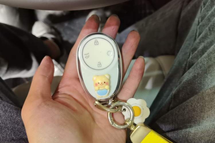 Used AION UT 2025 420 Intelligent Luxury Edition Vehicle Key