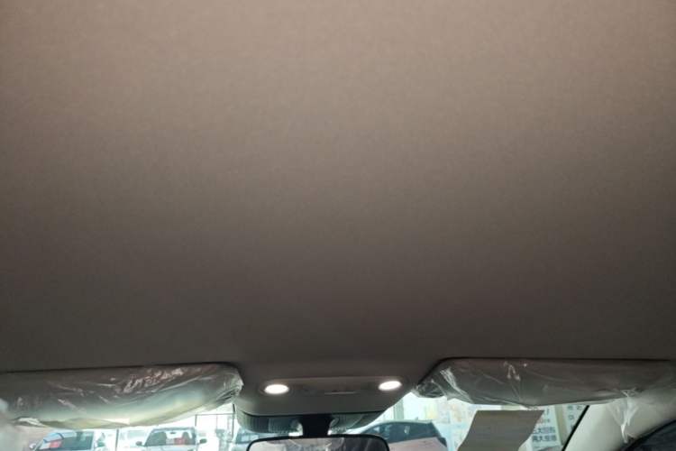 Used AION UT 2025 330 Starlight Edition Headliner