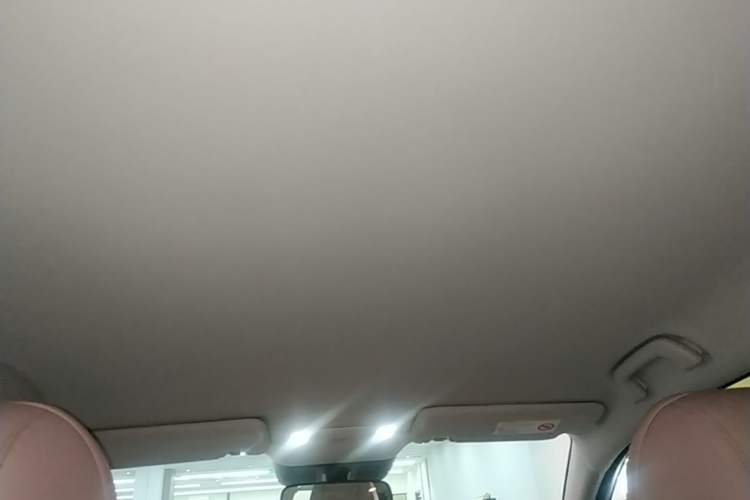 Used AION UT 2025 420 Intelligent Luxury Edition Headliner