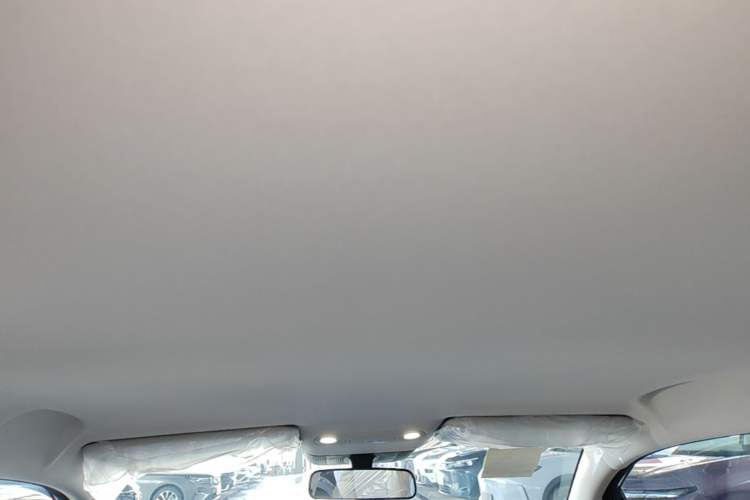 Used AION UT 2025 330 Starlight Edition Headliner