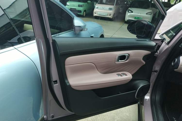 Used AION UT 2025 420 Intelligent Luxury Edition Left Front Door Interior