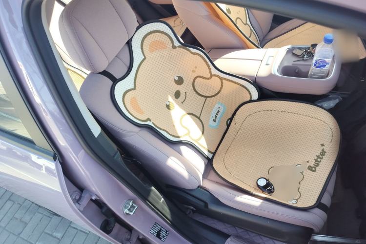 Used AION UT 2025 330 Starlight Edition Right Front Seat