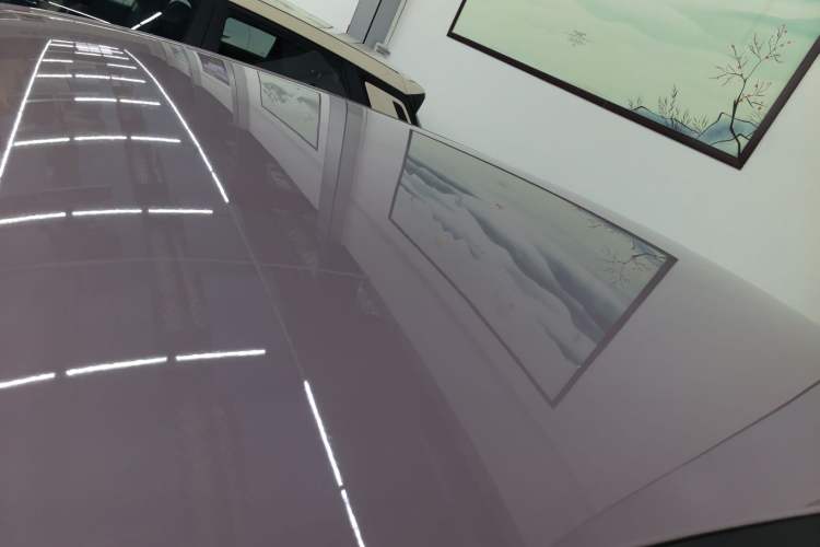 Used AION UT 2025 330 Starlight Edition Roof