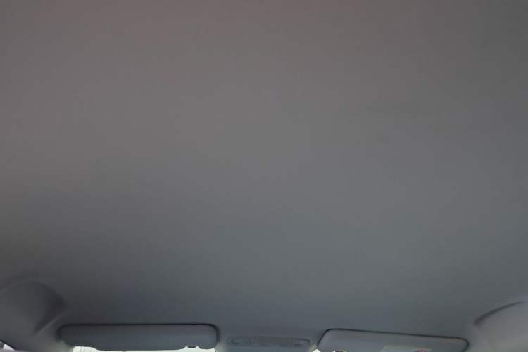 Used AION UT 2025 330 Starlight Edition Headliner