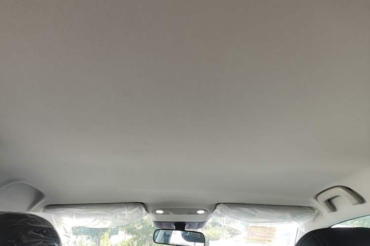 Used AION UT 2025 420 Smart Edition Headliner
