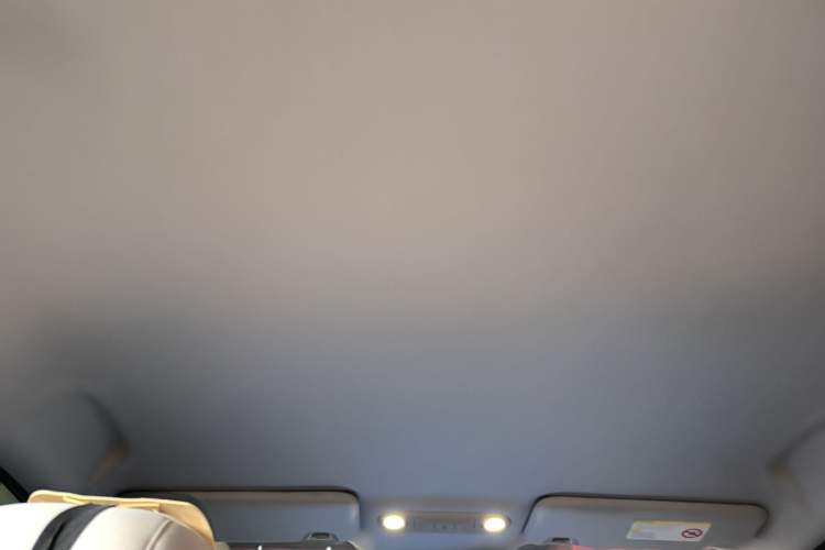 Used AION UT 2025 330 Starlight Edition Headliner