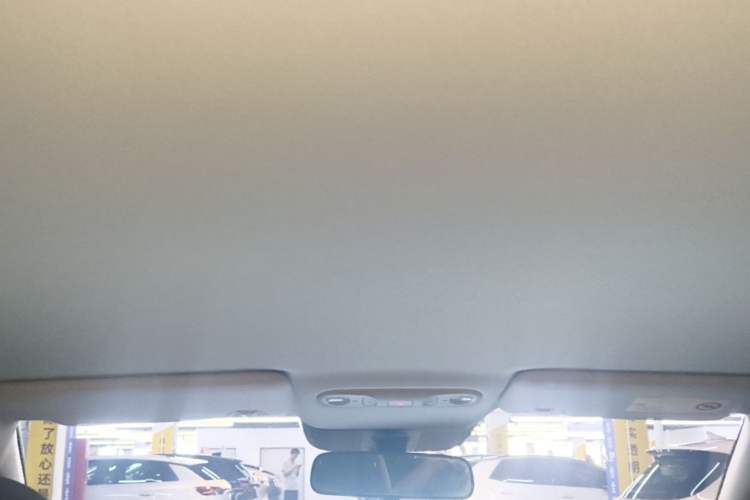 Used AION UT 2025 330 Starlight Edition Headliner