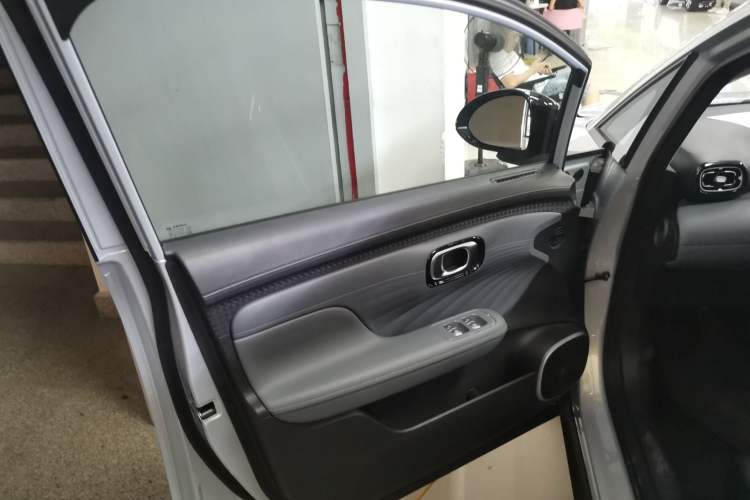 Used AION UT 2025 330 Starlight Edition Left Front Door Interior
