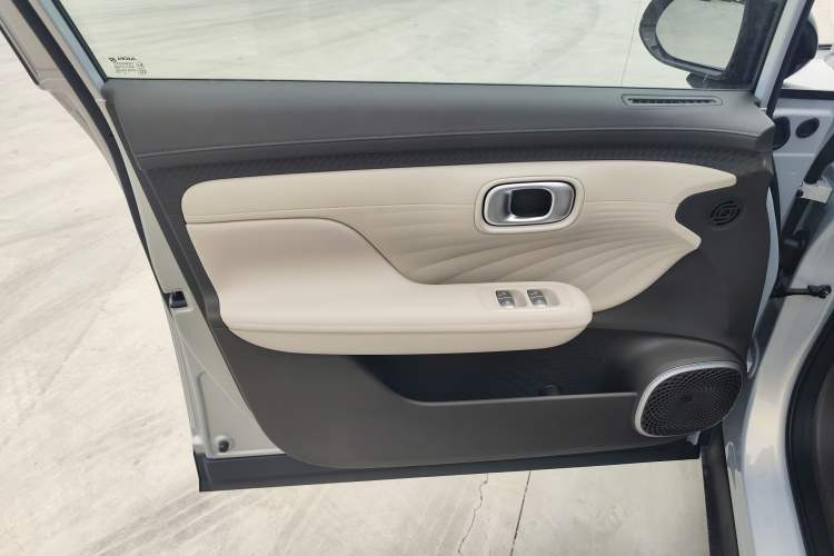 Used AION UT 2025 330 Starlight Edition Left Front Door Interior