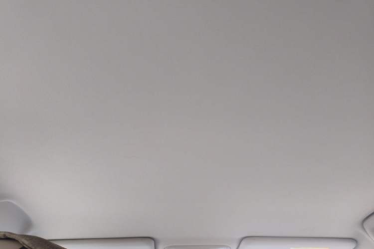 Used AION UT 2025 420 Smart Edition Headliner