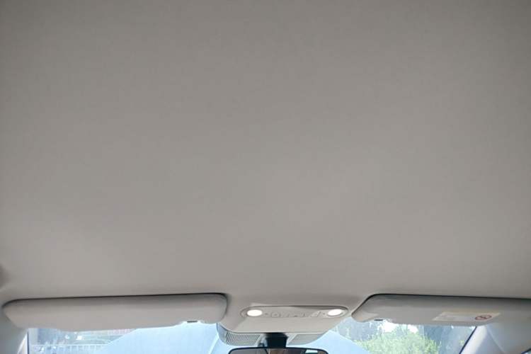 Used AION UT 2025 330 Starlight Edition Headliner