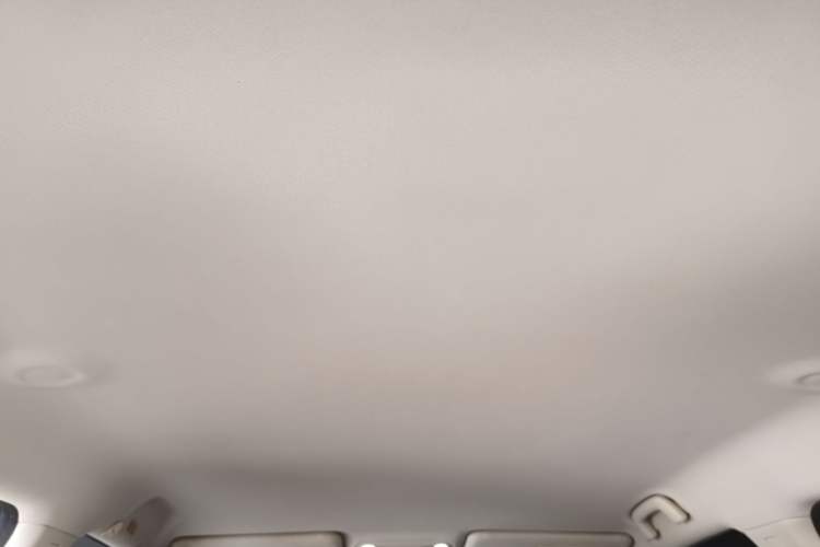 Used AION UT 2025 420 Smart Edition Headliner