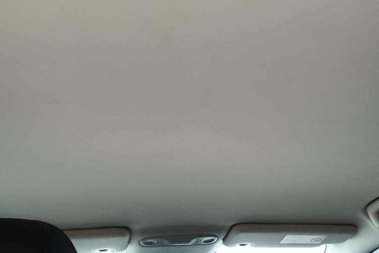 Used AION UT 2025 420 Smart Edition Headliner