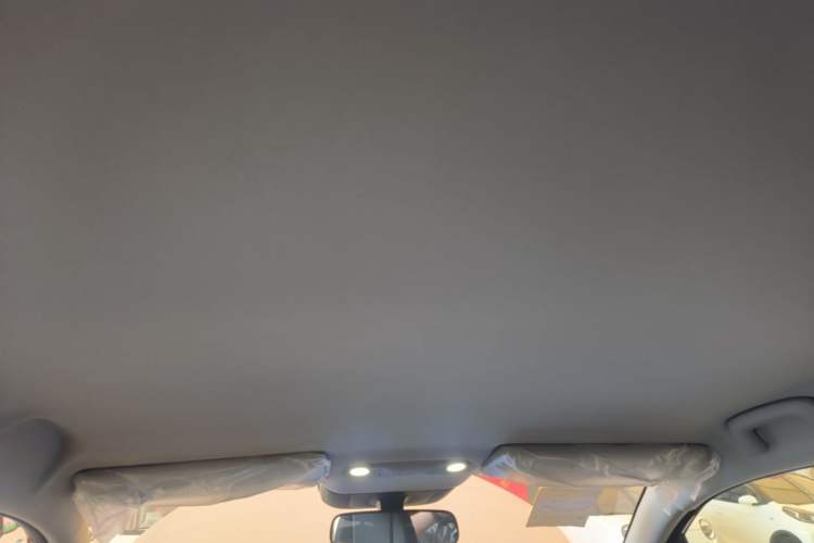 Used AION UT 2025 420 Smart Edition Headliner