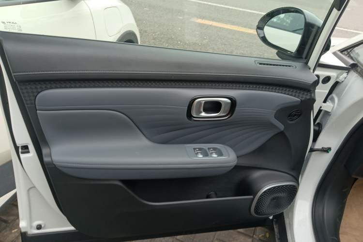 Used AION UT 2025 330 Star Edition Left Front Door Interior