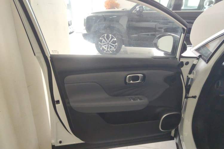 Used AION UT 2025 330 Starlight Edition Left Front Door Interior