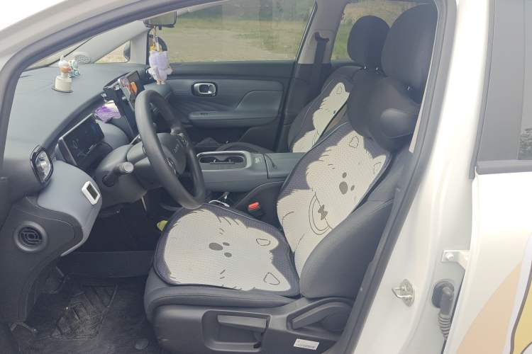 Used AION UT 2025 330 Starlight Edition Left Front Seat