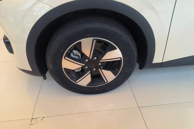 Used AION UT 2025 420 Intelligent Luxury Edition Left Front Wheel Hub
