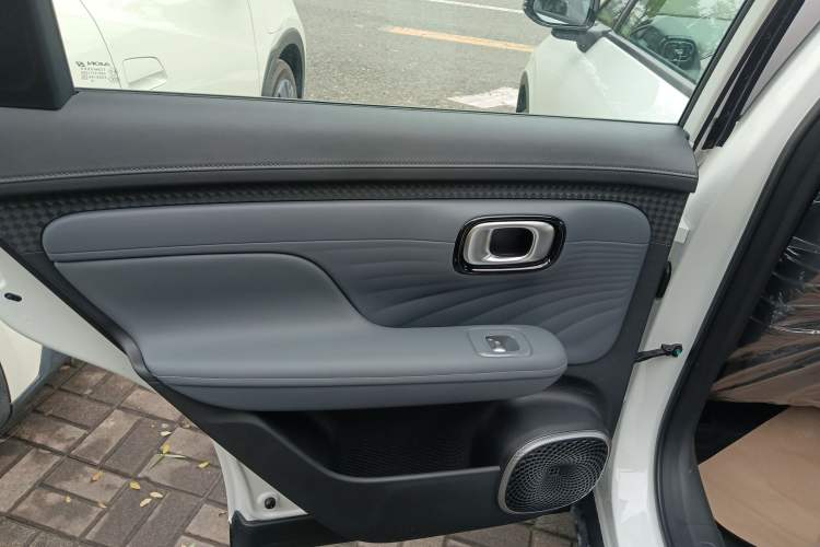 Used AION UT 2025 330 Star Edition Left Rear Door Interior