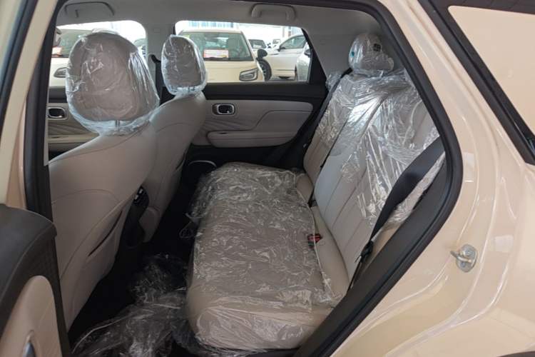 Used AION UT 2025 420 Intelligent Luxury Edition Left Rear Seat