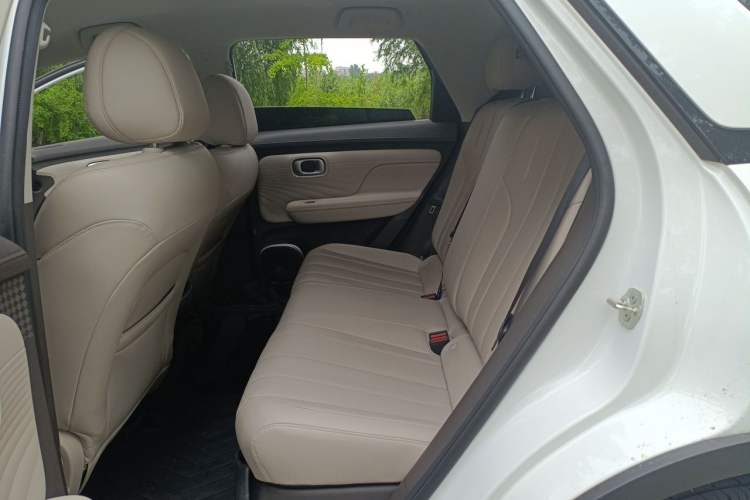 Used AION UT 2025 420 Smart Edition Left Rear Seat