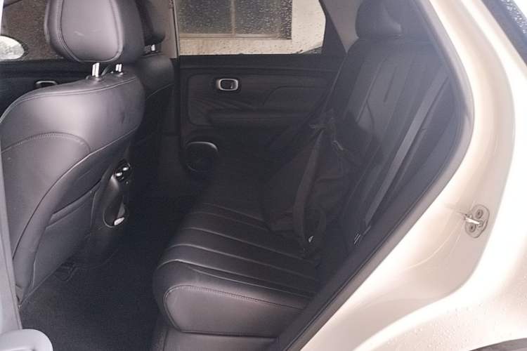 Used AION UT 2025 420 Intelligent Luxury Edition Left Rear Seat