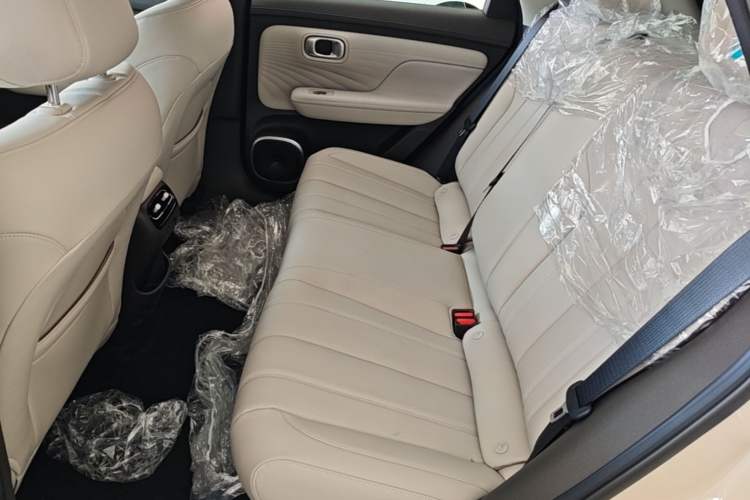 Used AION UT 2025 420 Intelligent Luxury Edition Left Rear Seat