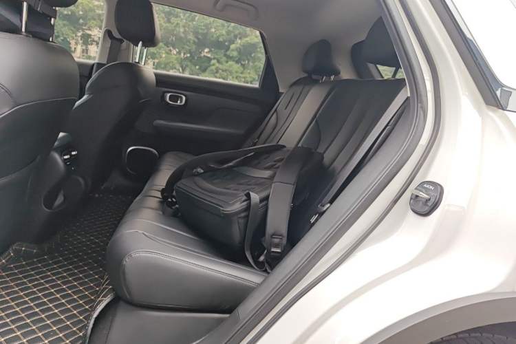 Used AION UT 2025 420 Intelligent Luxury Edition Left Rear Seat
