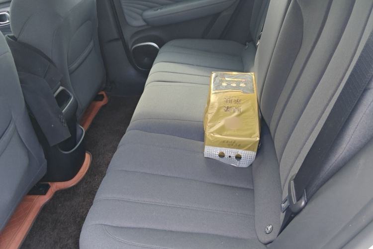 Used AION UT 2025 330 Starlight Edition Left Rear Seat