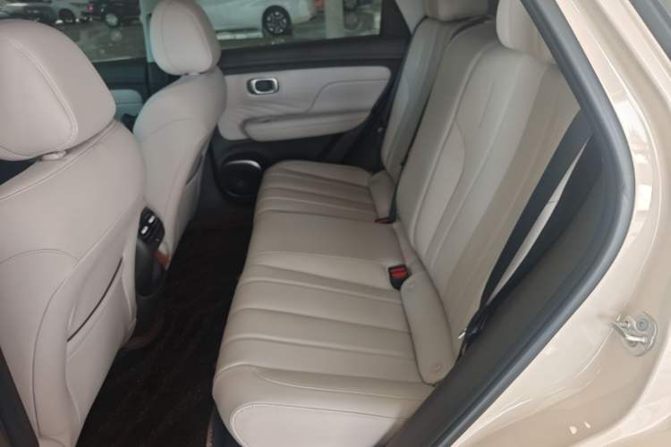 Used AION UT 2025 420 Intelligent Luxury Edition Left Rear Seat