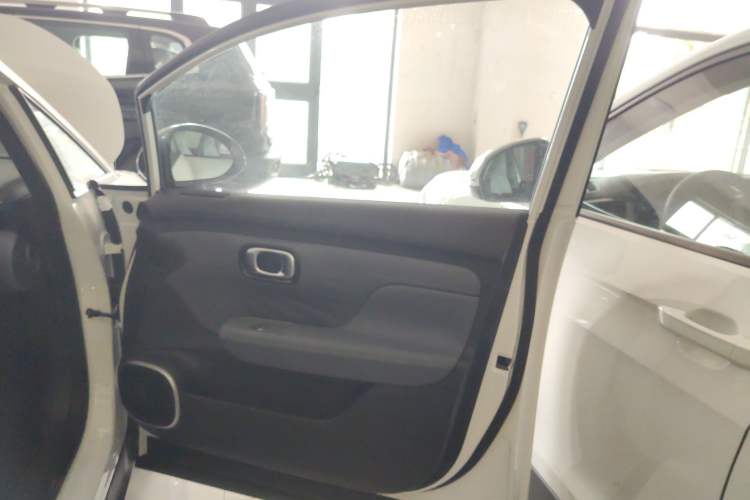Used AION UT 2025 330 Starlight Edition Right Front Door Interior