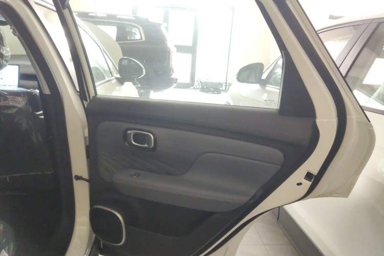 Used AION UT 2025 330 Starlight Edition Right Rear Door Interior