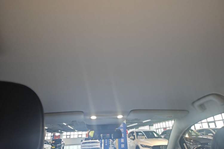 Used AION UT 2025 420 Intelligent Luxury Edition Headliner