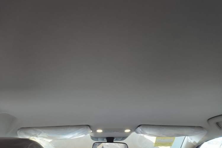 Used AION UT 2025 420 Intelligent Luxury Edition Headliner