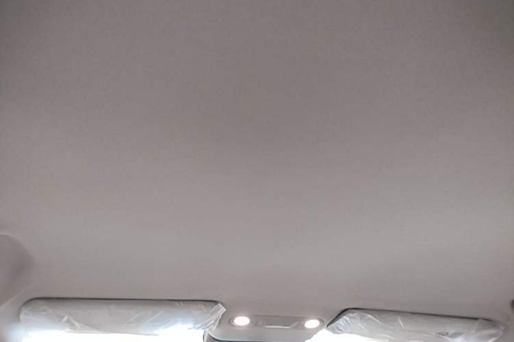 Used AION UT 2025 420 Intelligent Luxury Edition Headliner