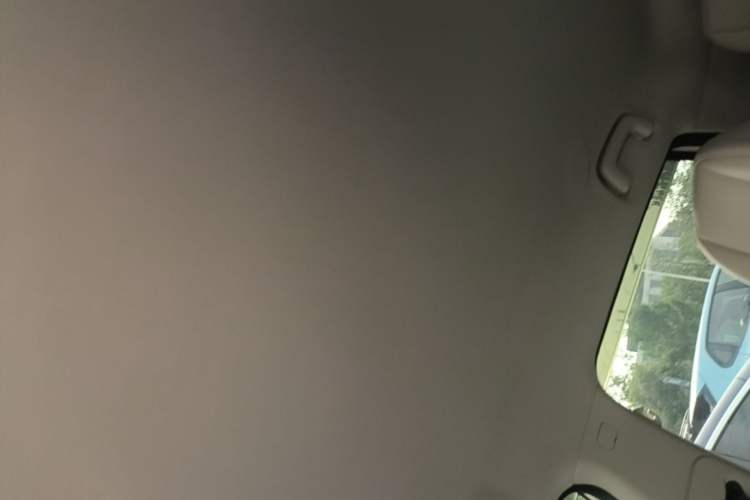 Used AION UT 2025 420 Smart Edition Headliner