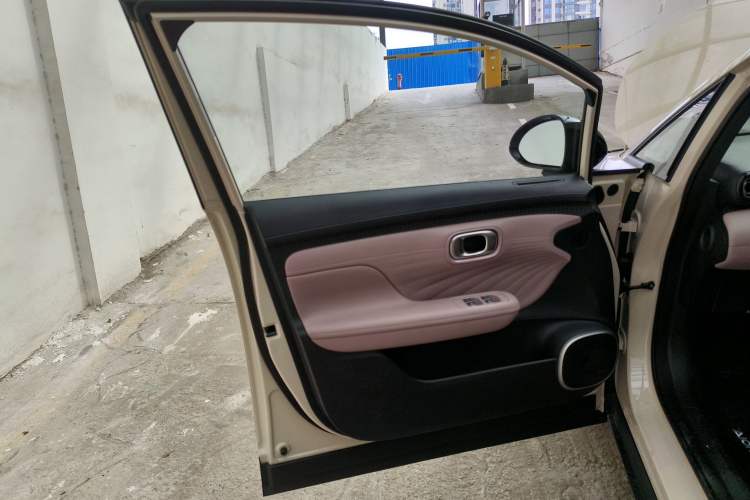 Used AION UT 2025 330 Star Edition Left Front Door Interior