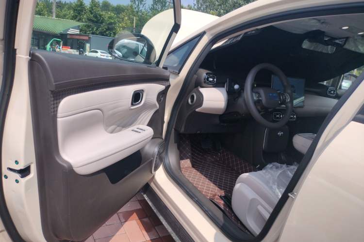 Used AION UT 2025 330 Star Edition Left Front Door Interior