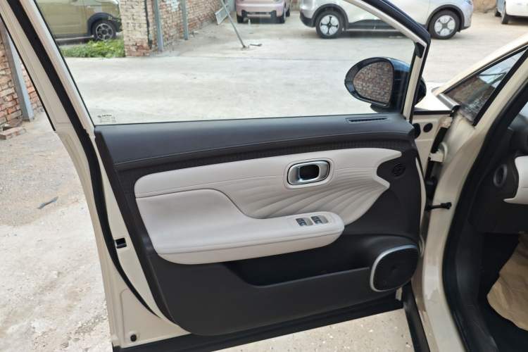 Used AION UT 2025 420 Smart Edition Left Front Door Interior