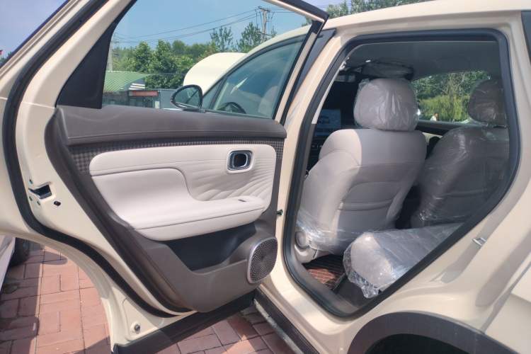 Used AION UT 2025 330 Star Edition Left Rear Door Interior